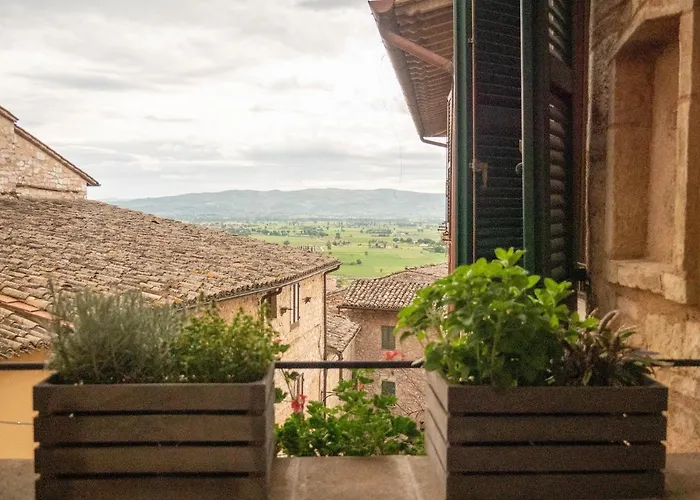 Domus Flora Guest House